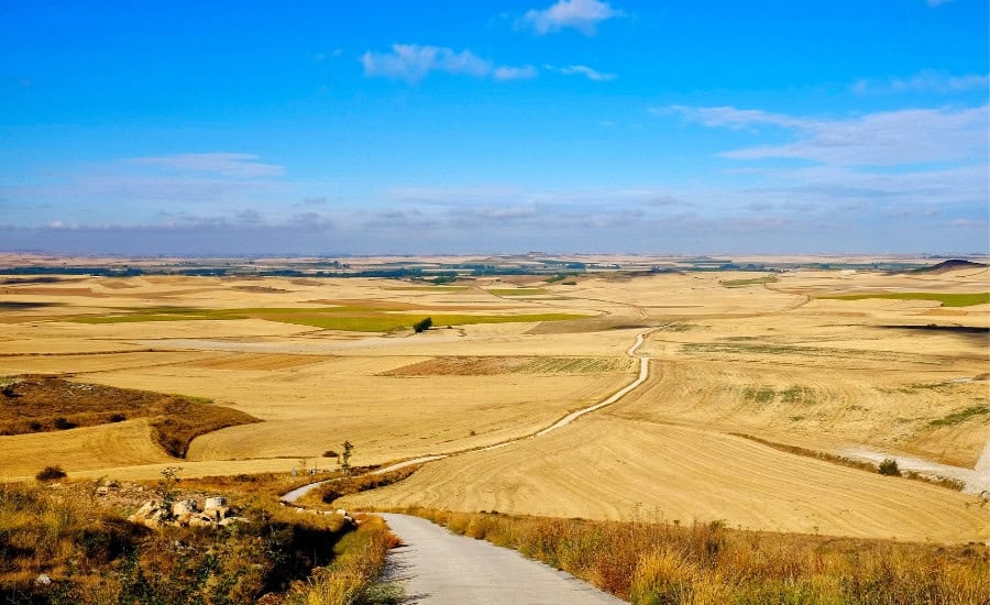 Meseta