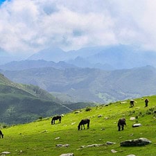Colunga Sierra Del Sueve