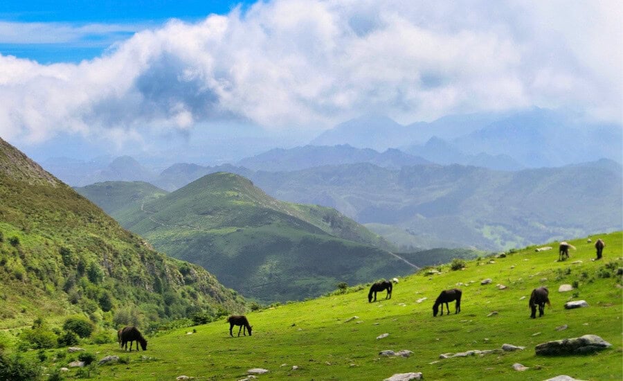 Colunga Sierra Del Sueve