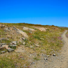 Natural Landscape