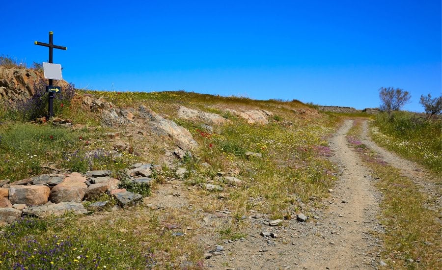 Natural Landscape