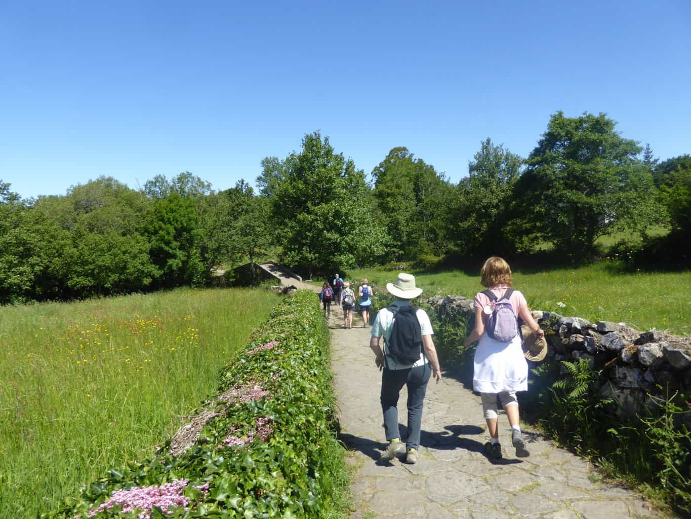 Green Camino