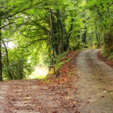Path in Triacastela