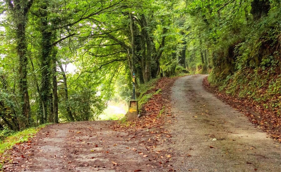 Path in Triacastela