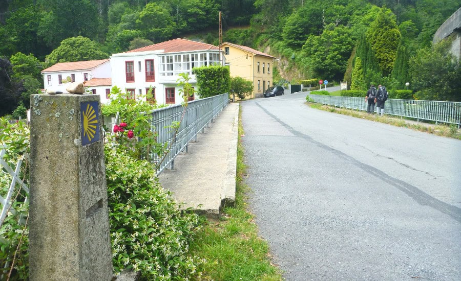 Path on Camino ingles