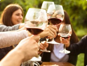 People toasting glasses of wine