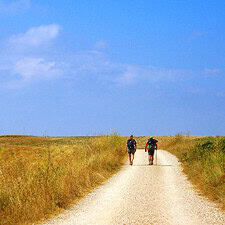 Camino de Santiago path with 2 pilgrims