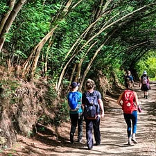 Pilgrims in Forest Client Irish Hospice Foundation IHF Charity