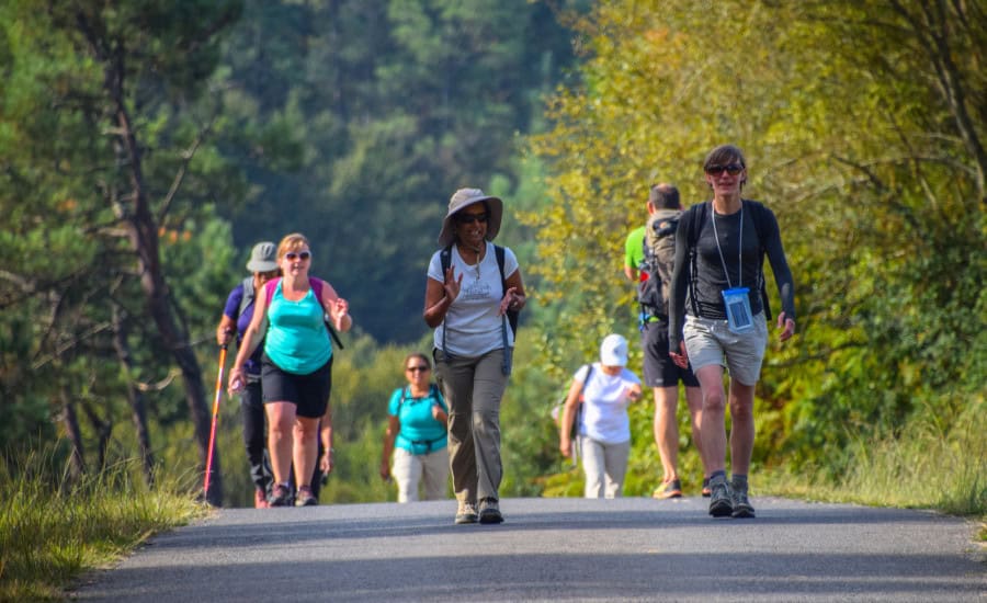 Pilgrims walking front