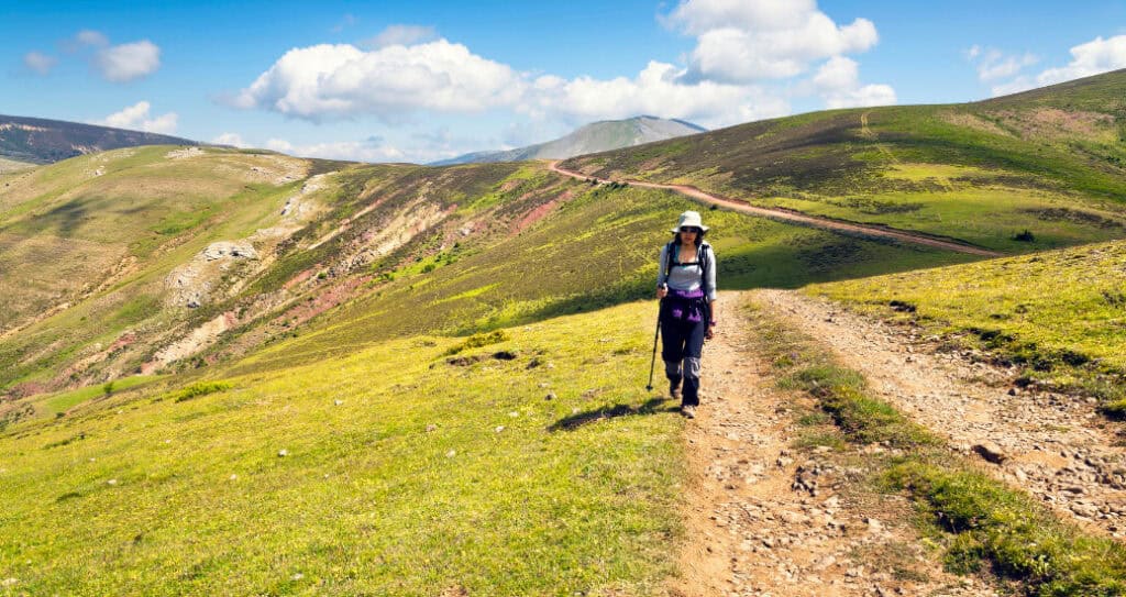 Pilgrims walking through camino frances