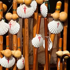 Poles with scallop shells, one of the main symbols of the Camino de Santiago