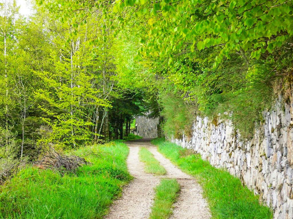 Camino Frances Route