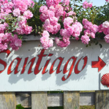 Santiago sign with flowers