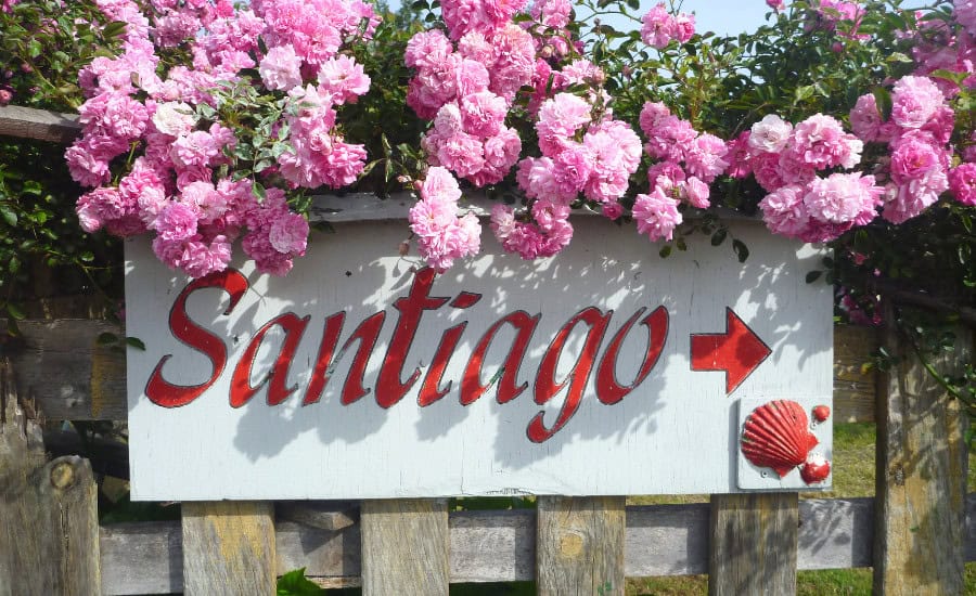 Santiago sign with flowers