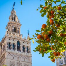 Sevilla Cathedral