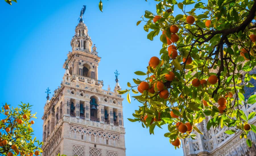 Sevilla Cathedral