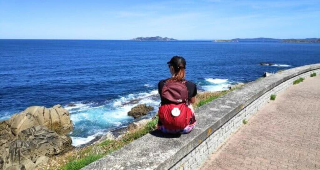 Taking in the coastal view
