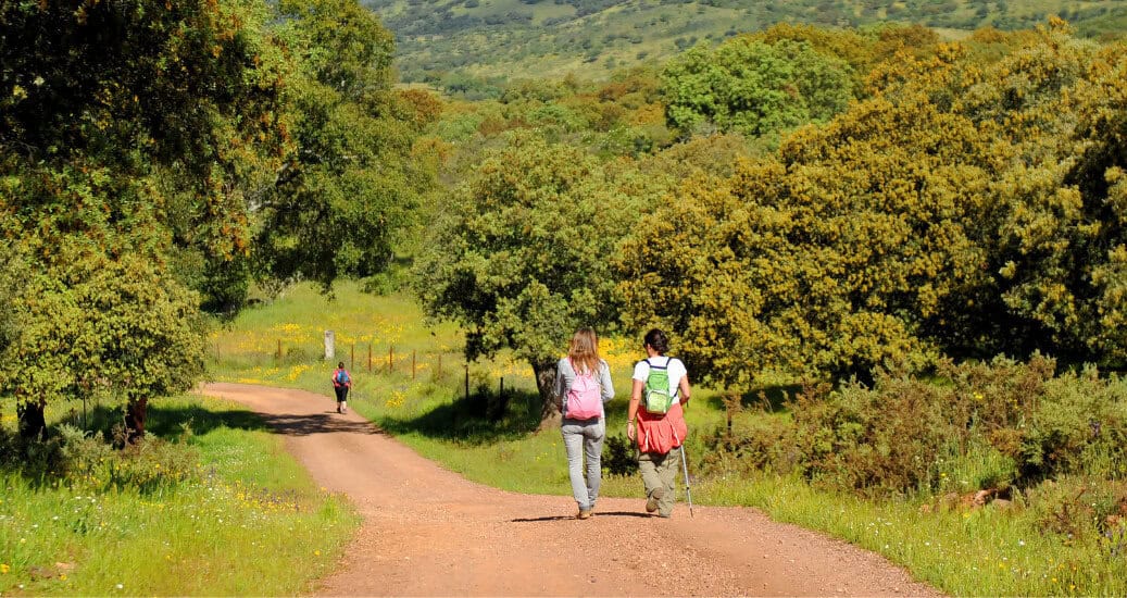 Two hikers women walking down the Sierra de Aracena near Cañaveral de Leon, province of Huelva, Andalucia, Spain