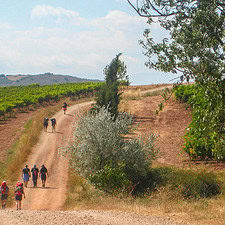 Groups of people walking on a red dirt trail through green fields on the Camino de Santiago pilgrimage