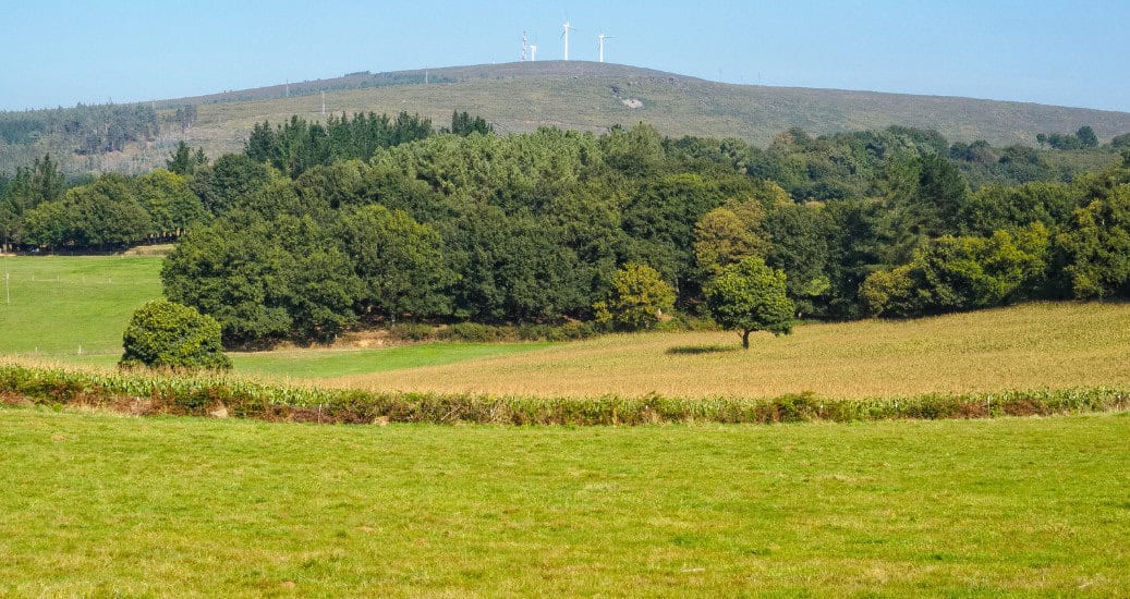 Wind farm - Palas de Rei