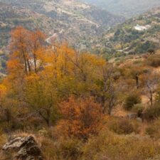 autumn landscape