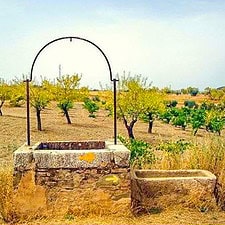Camino well