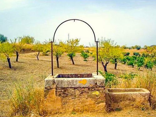 Camino well