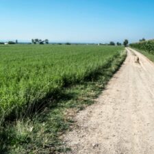 Camini route on field