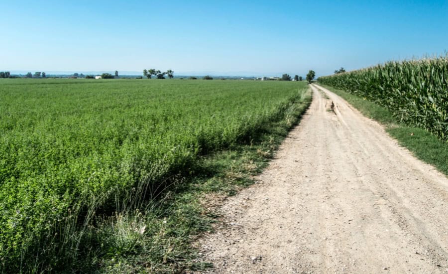 Camini route on field