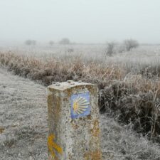 ice camino
