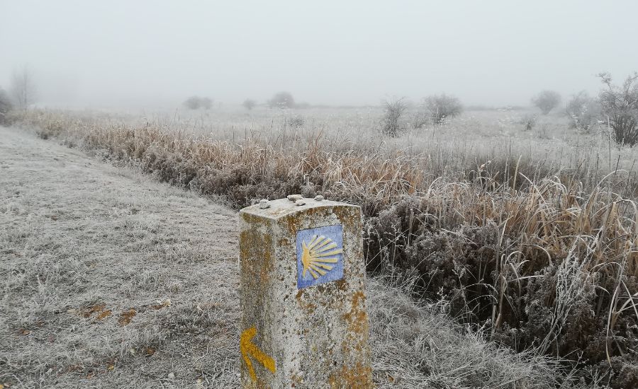 ice camino