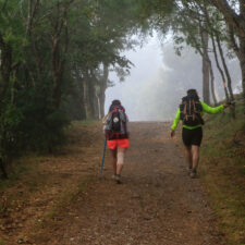 2 female pilgrims walking through woods