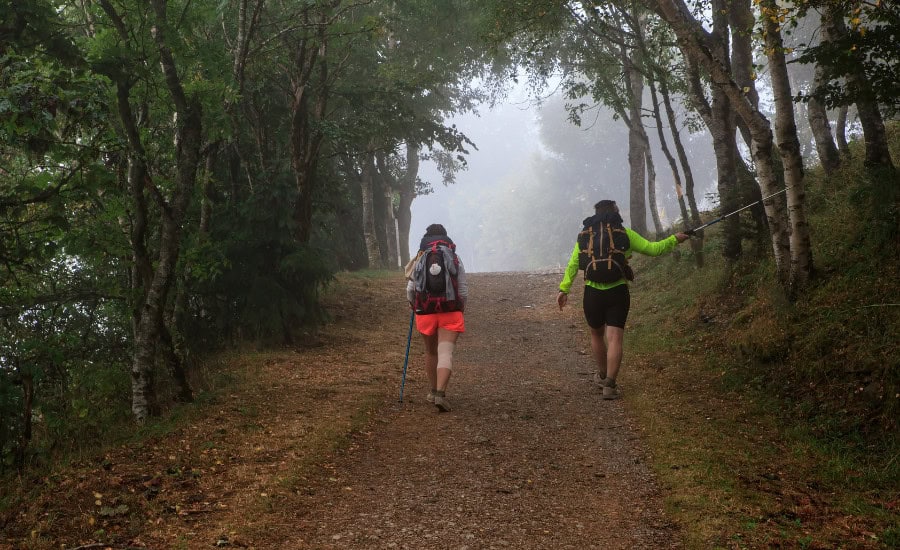 2 female pilgrims walking through woods