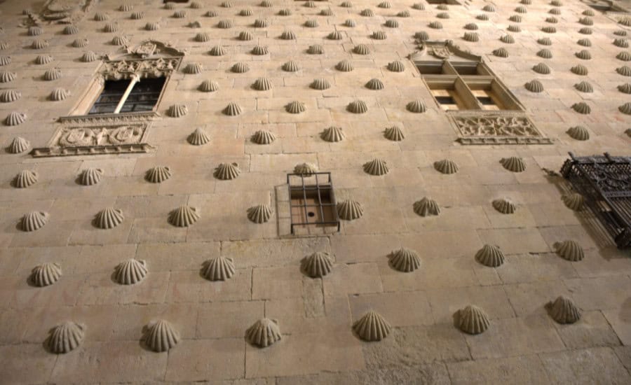 shells on wall