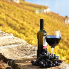 wine