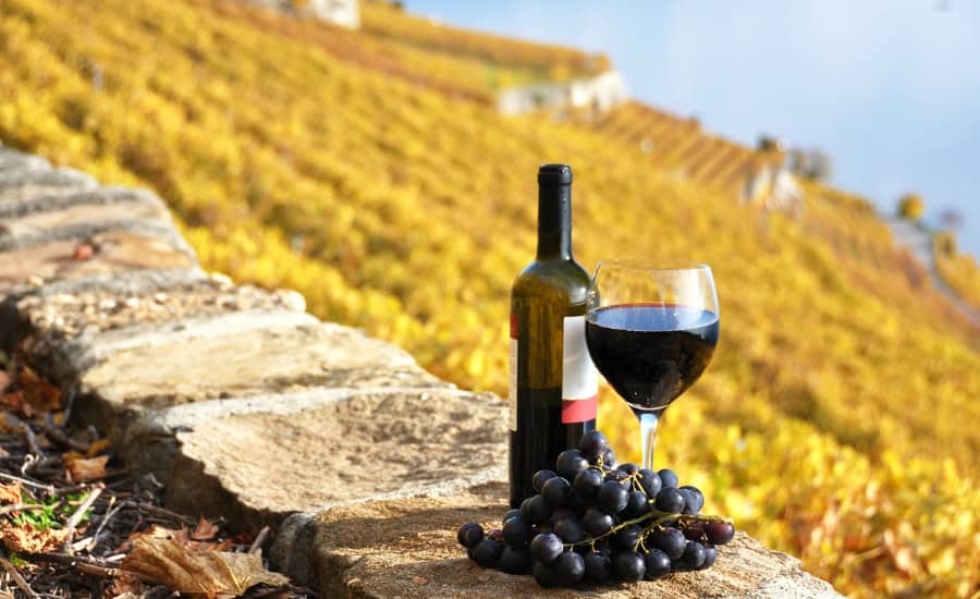 wine