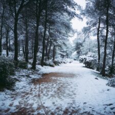 winter path