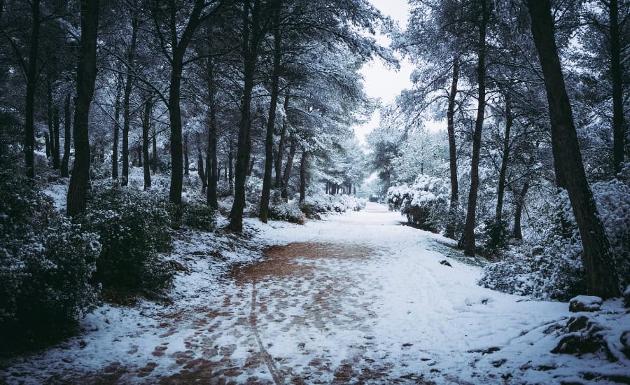winter path