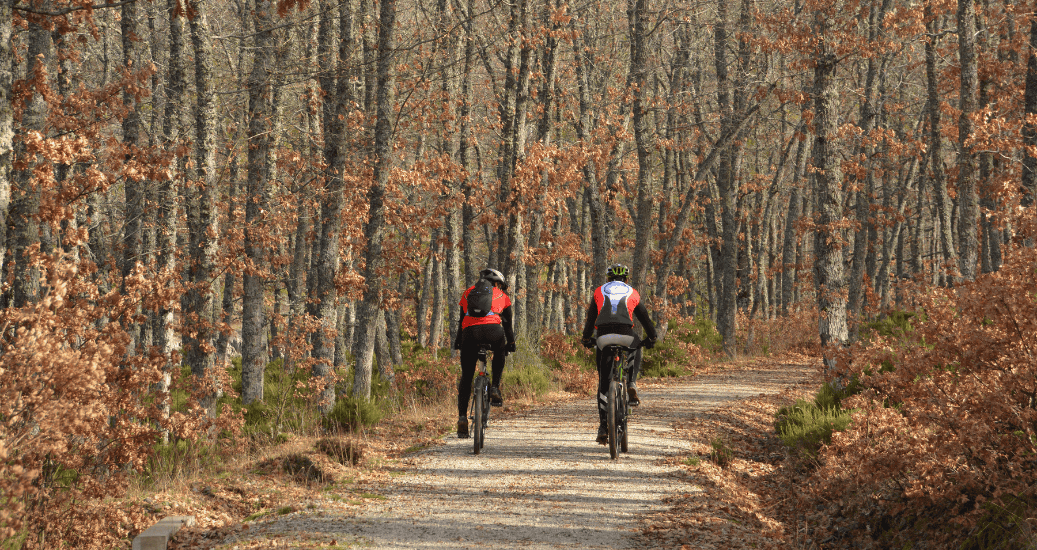 2 pilgrims Cycle the Camino Frances from Ponferrada to Santiago