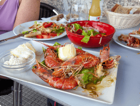 Gastronomy camino frances