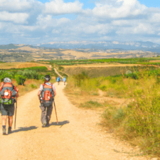 Pilgrims walking through Camino Frances