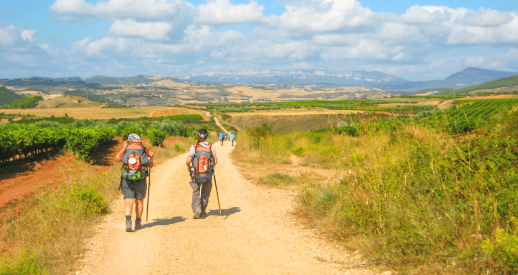 Pilgrims walking through Camino Frances