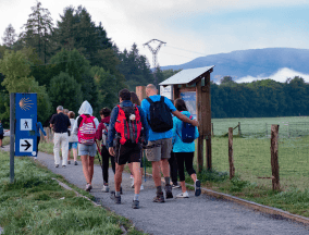 Camino for families