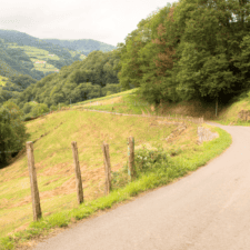 Camino Frances from Roncesvalles to Santiago
