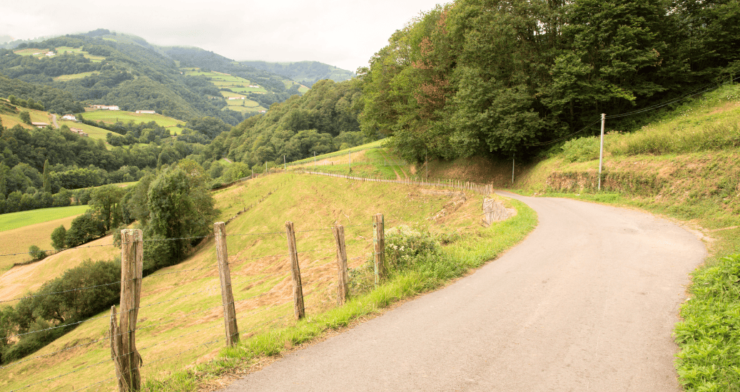 Camino Frances from Roncesvalles to Santiago