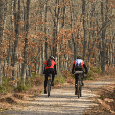 Cycling Camino frances