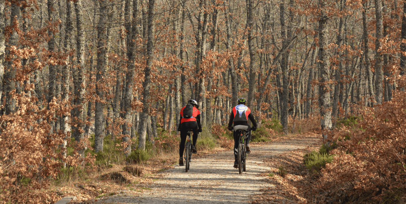 Cycling Camino frances