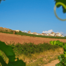 Camino Frances hill