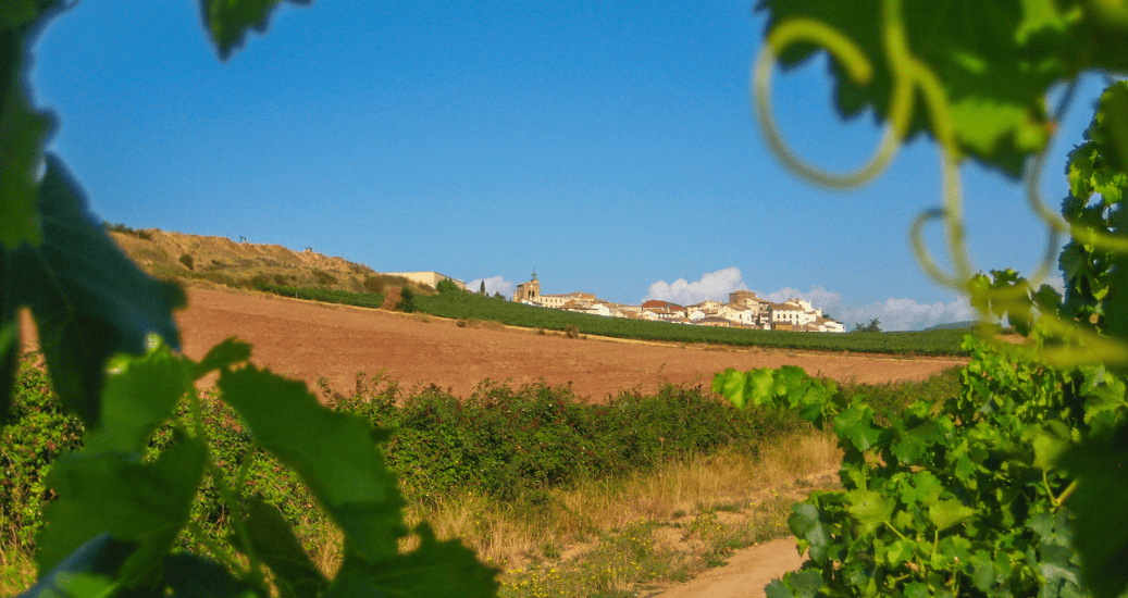 Camino Frances hill