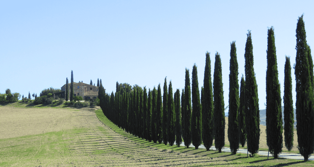 Road to Rome